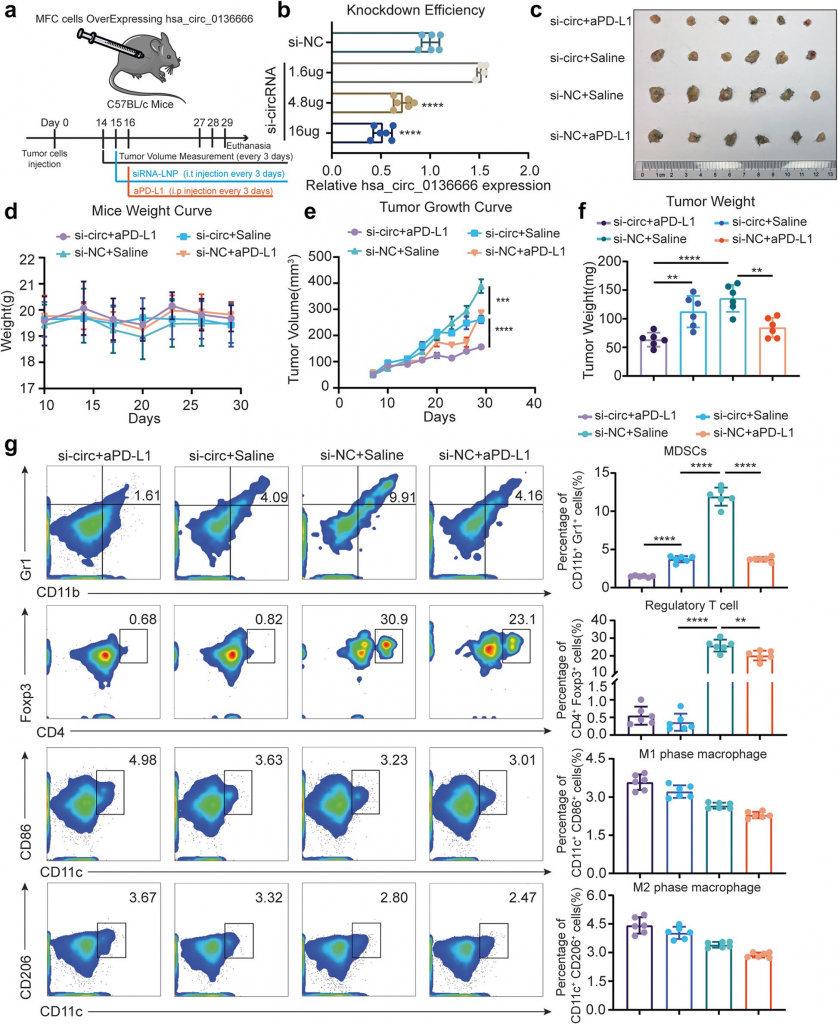 Rna Hsa Circ Circrna